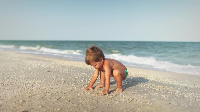 Kid collects shells and pebbles in the sea on a sandy bottom under the summer sun on a vacation
