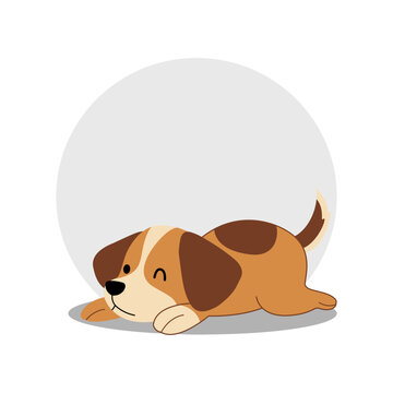 Adorable puppy resting head