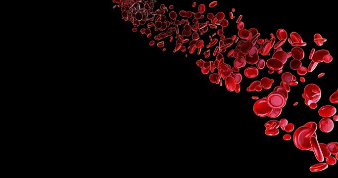3D Render Flow of Red Blood Cells Streaming Diagonally on Black Background