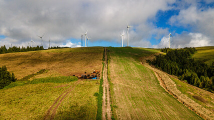 Wind turbines on green highland pastures with grazing cattle herd under clouds © Андрей Нелупов