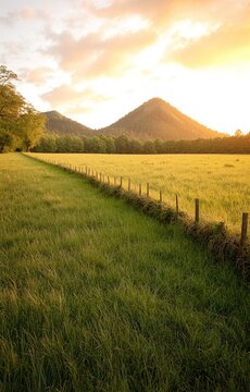 Golden sunset over lush green meadow with mountain landscape
