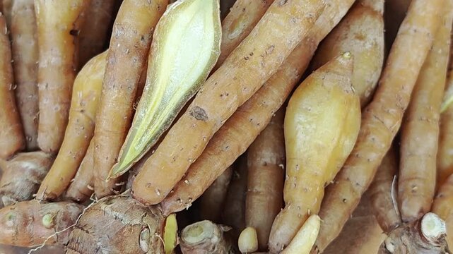 Finger root or Chinese ginger. Zoom in.