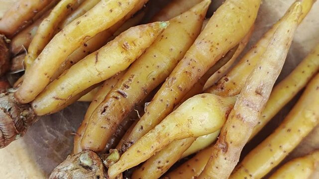 Finger root or Chinese ginger. Zoom out.