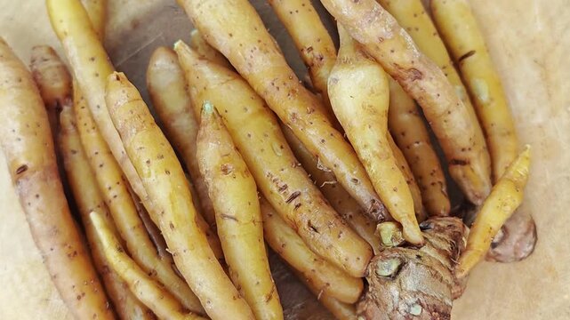 Finger root or Chinese ginger. 
