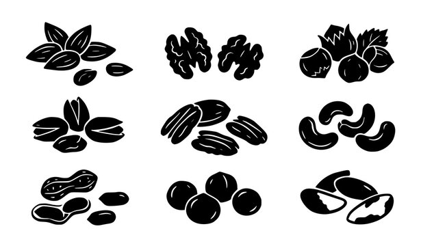 Assorted Nut Silhouette Collection Featuring Almonds Pecans Cashews Hazelnuts and Peanuts