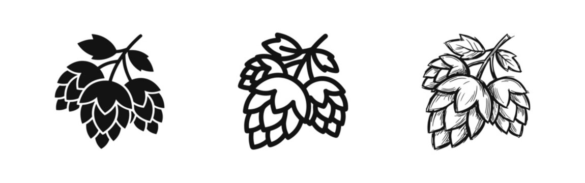Hop Cones and Leaves Icon Set: Solid, Outline, and Sketch Styles