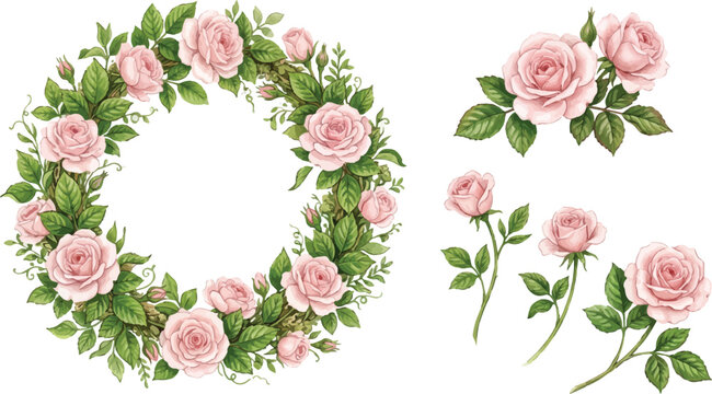 Pink rose wreath and stems with green leaves silhouette