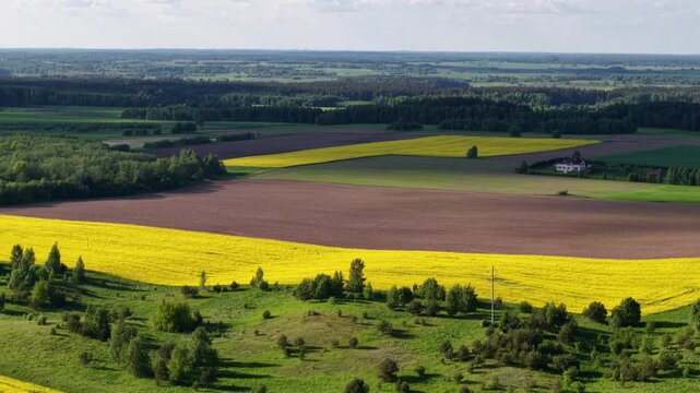 Drone panning over geometric patchwork of yellow rapeseed and dark plowed fields