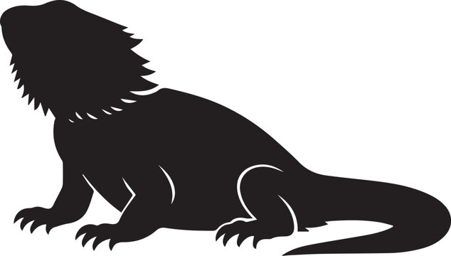 Bearded dragon vector illustration .