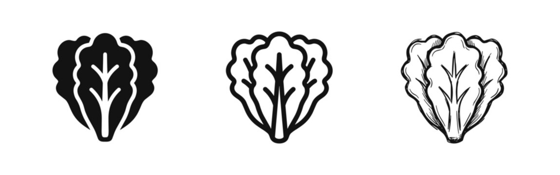 Set of lettuce vegetable icons in different art styles