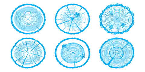 Set of blue tree trunk cross section rings showing wood grain texture patterns © Sharmin