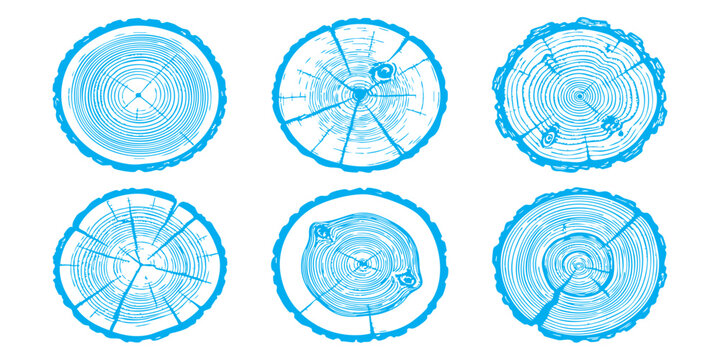 Set of blue tree trunk cross section rings showing wood grain texture patterns