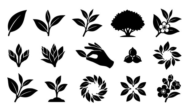 Black leaf silhouettes floral elements and organic eco icons set vector illustration design