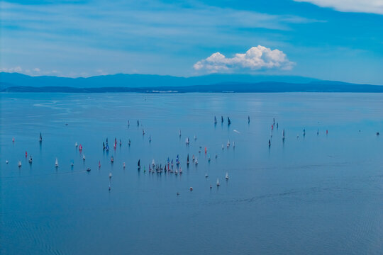 Aerial panorama of dozens of sailing yachts participating in a regatta across the calm blue waters of Kvarner Bay near Rijeka, Croatia
