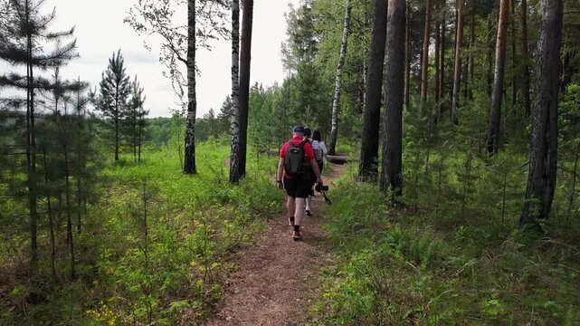 Rearview of two hikers on a narrow dirt path through a mixed pine and birch forest. The main hiker wearing a white jacket and orange-accent backpack walks slightly right