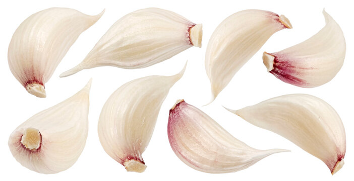 Garlic cloves isolated on white background with clipping path