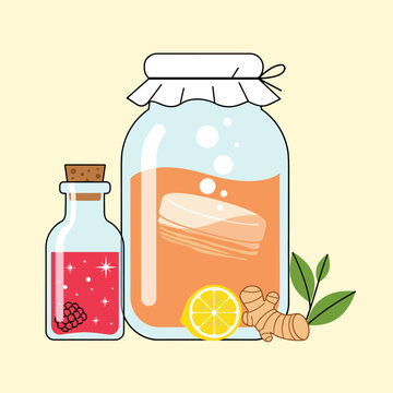 Homebrew Kombucha Jar and Ingredients Flat Vector Illustration