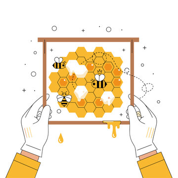 Flat Vector Illustration of a Beekeeper's Hive Inspection