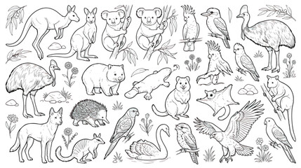 Fototapeta premium Australian animals line art collection, hand drawn wildlife vector set, kangaroo and koala sketches for coloring book and educational design