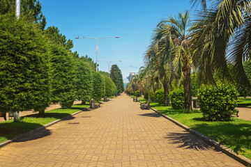 Obraz premium Scenic public city promenade with paving stones tile walkway lined with lush palm trees, green bushes and benches under a clear blue sky. 