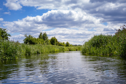 Calm river flowing between green reeds under cloudy sky in summer. Scenic natural landscape suitable for outdoor recreation, travel, ecotourism and water adventure concepts.
