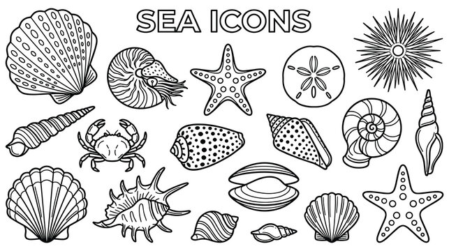 Sea shells collection hand drawn aquatic shell outline.