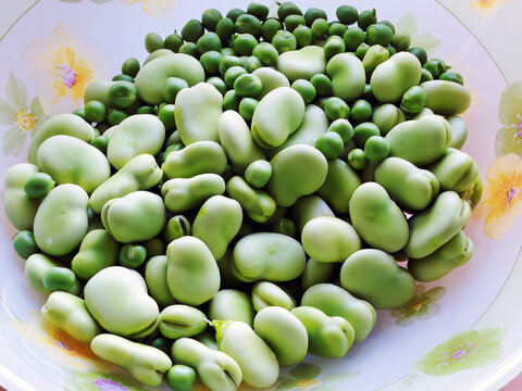 Des f&egrave;ves et des petits pois fra&icirc;chement lav&eacute;s dans un saladier.