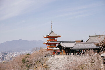 Naklejka premium Kyoto pagoda above cherry trees and distant hills