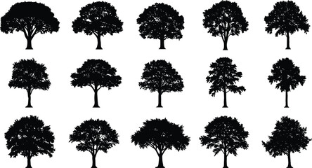 Fototapeta premium Collection of realistic tree silhouettes with dense foliage and unique shapes, black forest tree vector illustration isolated on white