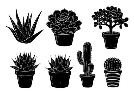 Collection of various succulent plants and cacti in pots, black silhouettes on white background.