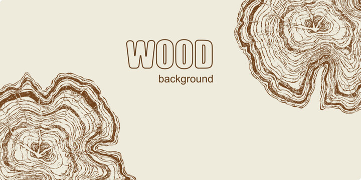 Wood ring background, vintage engraved tree stump cross section frame with natural timber texture and rustic wooden growth rings