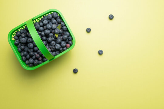 Fresh picked blueberries in a bright green basket on a light green background.