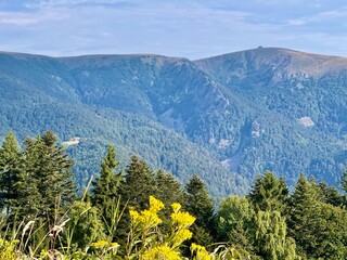 Panoramic view toward the Hohneck summit and the high pastures © Mickaël LEBRET