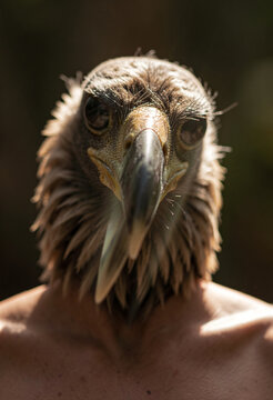 a man with the head of a bird of prey