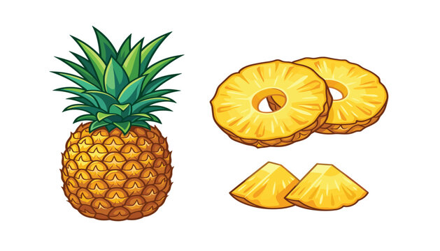 Fresh whole pineapple with green leaves, sliced rings, and cut chunks vector illustration isolated on white background.