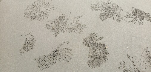 Intricate sand ball patterns created by crabs on a beach © 思曼 黃