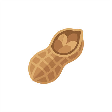 This illustration shows a peanut in its shell ready for snacking