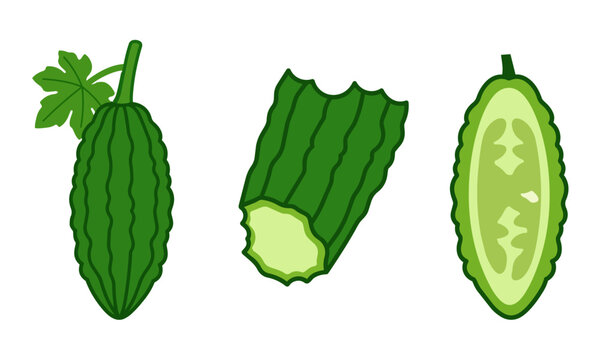 Vector illustration of Tamarillo