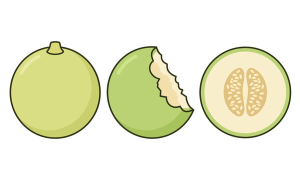 Vector illustration of Persimmon