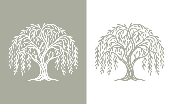 Minimalist weeping willow tre...