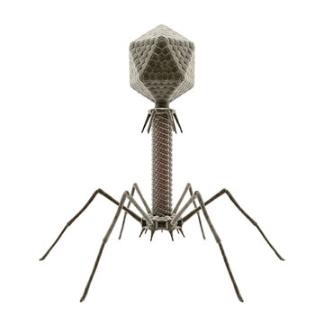 Bacteriophage T2 Virus Isolated Transparent Background