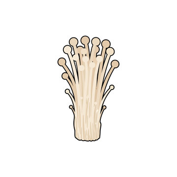 A cluster of delicate enoki mushrooms stands upright