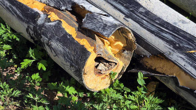 Ruptured preinsulated steel pipe showing degraded polyurethane insulation foam on grass