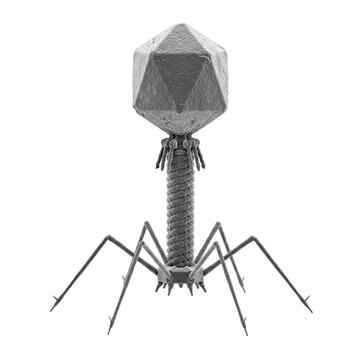 Bacteriophage T2 Virus Isolated Transparent
