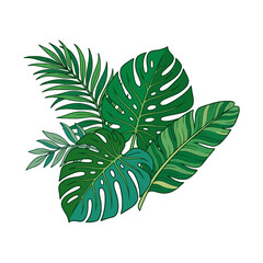 Lush green tropical leaves are arranged on a white background © anna