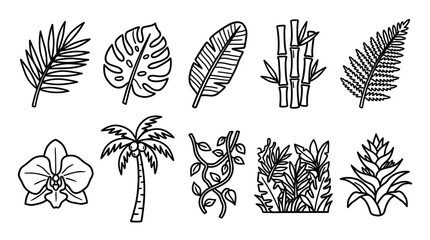 Tropical Foliage and Jungle Plants Outline Icon Collection © irvan