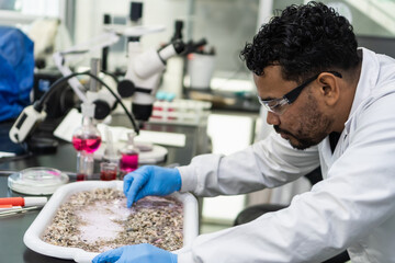 Fototapeta premium Scientist examining samples in a research laboratory