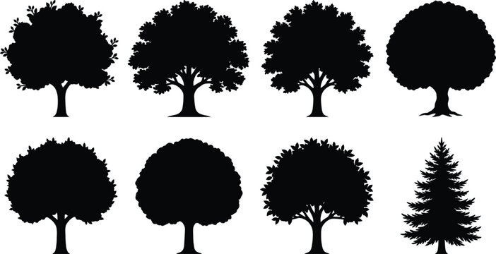 Deciduous and Evergreen Tree Silhouette Collection for Landscape and Forestry Design