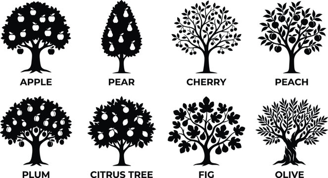 Fruit Tree Silhouette Collection Featuring Apple Pear Cherry Peach Plum Citrus Fig and Olive