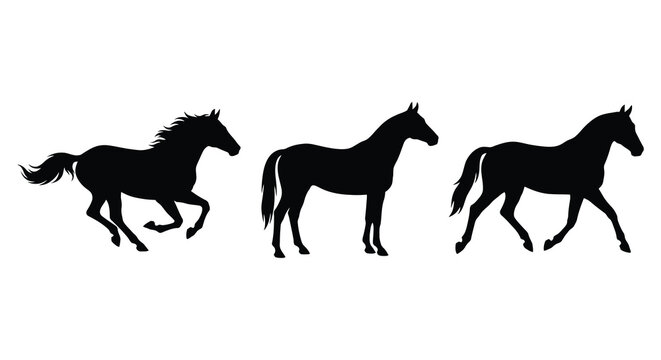 Three black horse silhouettes in varying gaits against a white background silhouette horses equine equines stallion mare foal